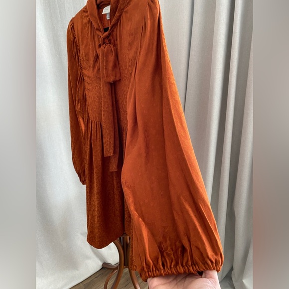 Vintage Style Long Sleeve Dress in color Cooper. - Picture 4 of 9